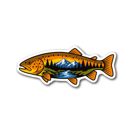 Brown Trout