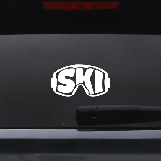 Vinyl - Ski Goggles
