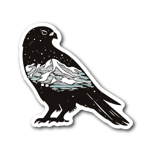 Starry - Hawk