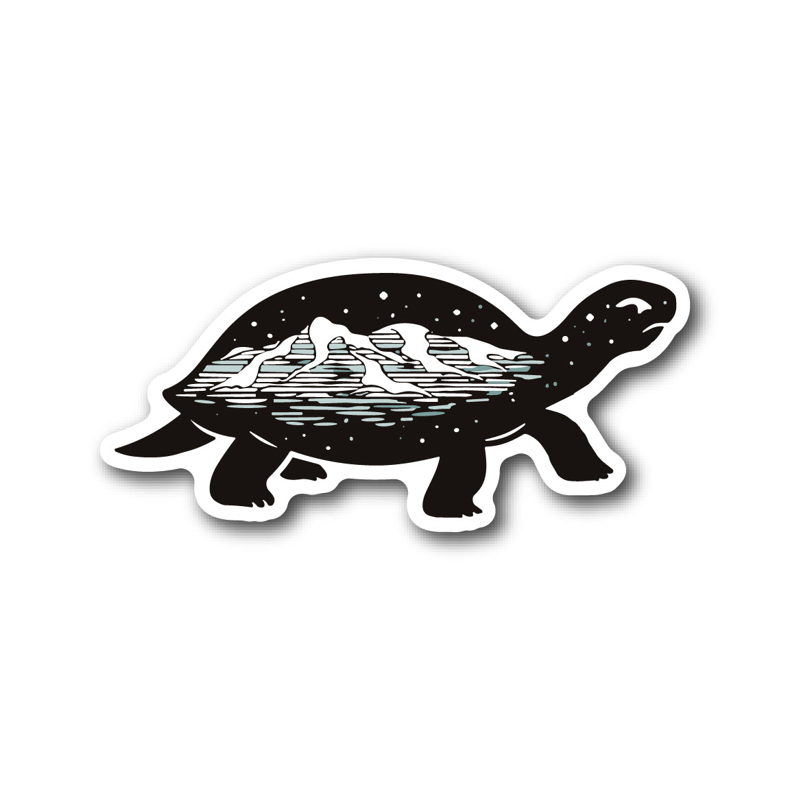 Starry - Turtle